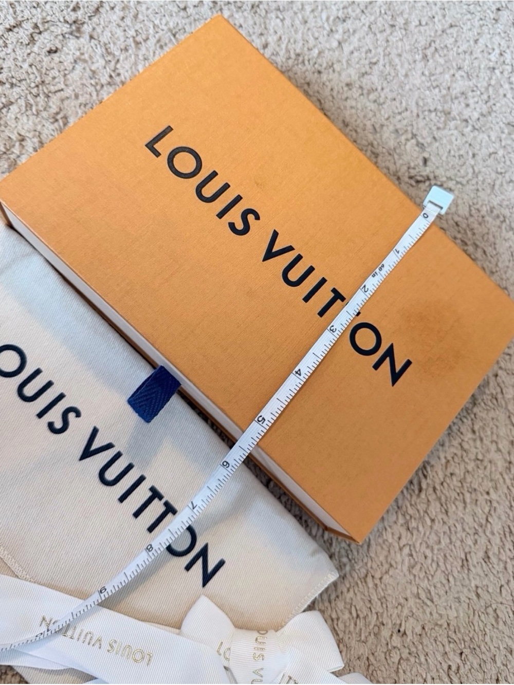 LOUIS VUITTON - Picture 9 of 12